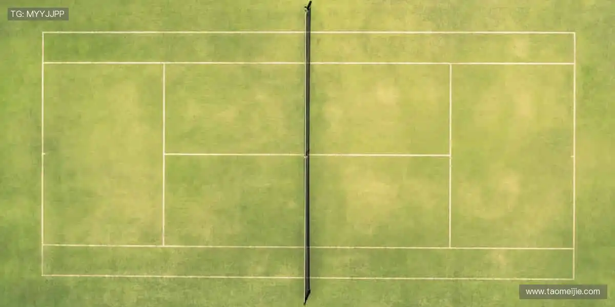 📱 指尖轻点，赛事同步全球！🌍